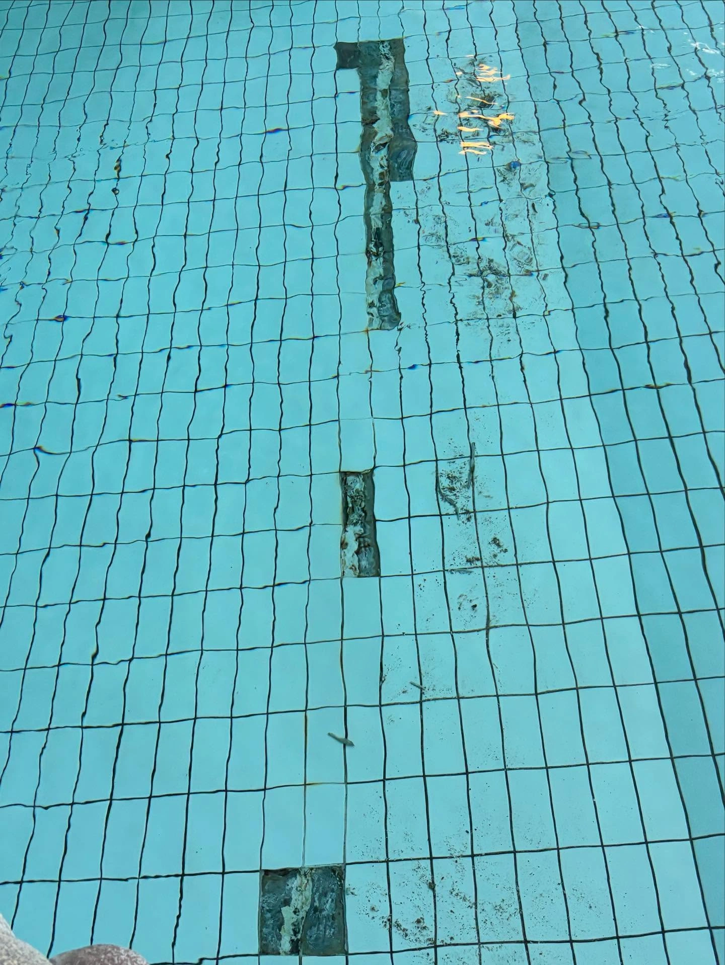 Epoxifogning