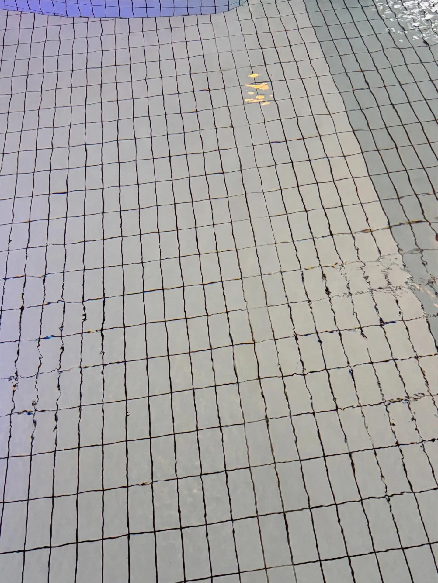 Poolrenovering