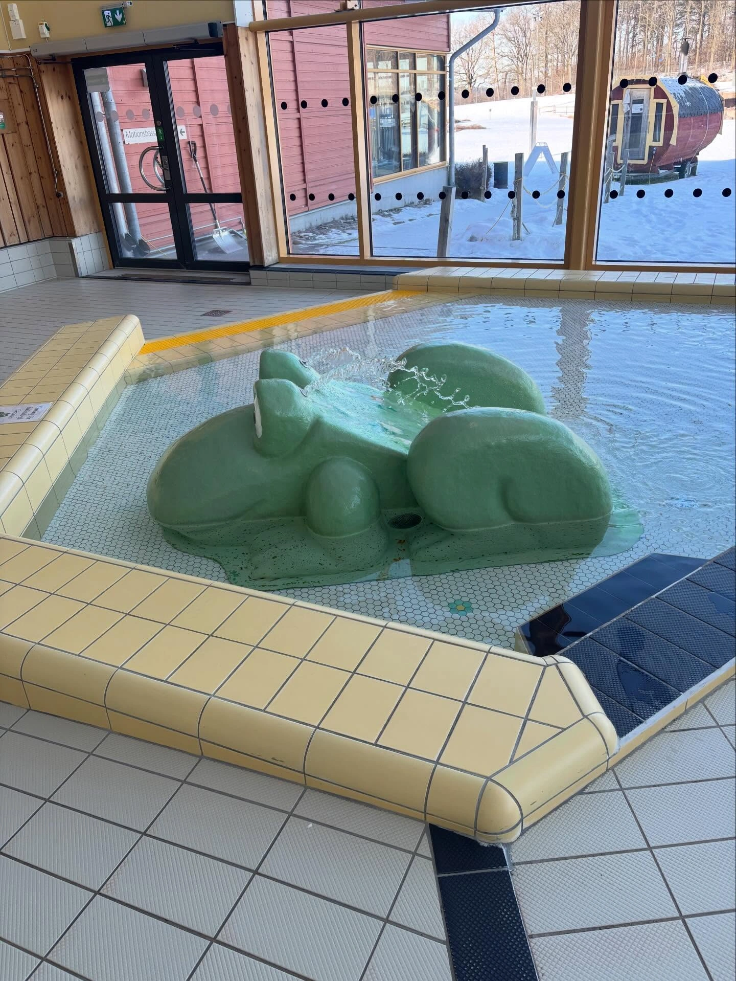 Bassängrenovering
